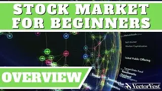 Overview - Stock Market for Beginners | VectorVest
