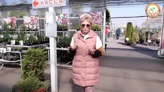 Полезная прогулка по садовому центру с Гавриловой С.Ф.
