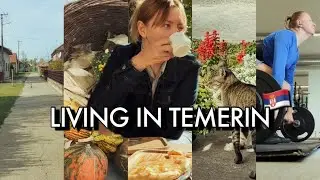 simple living in TEMERIN, small SERBIAN town 🇷🇸