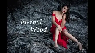 Eternal Wood