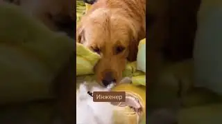 Работа была большая,сложная.