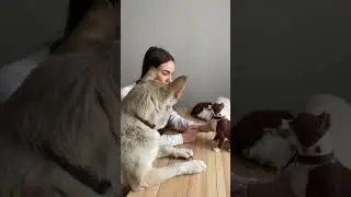 Как я создаю фигурки собак из шерсти 🪄 