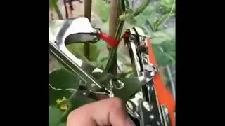 #тапенер