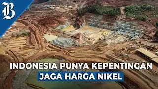 Kebijakan Indonesia Bakal Buat Pasokan Nikel Global Defisit?