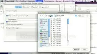 Thunderbird: inserting images in email created started from the addressbook fails.