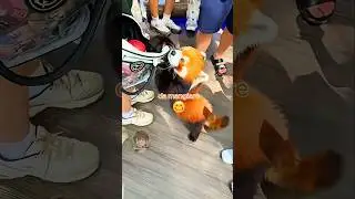 🐮 Animal Life (PART 7)