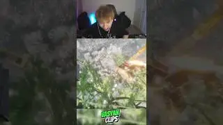 не повезло, не фартануло 