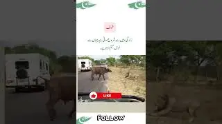 زندگی وہیں سے شروع ہوتی ہے جہاں سے خوف ختم ہوتا ہے۔