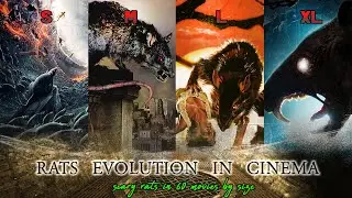 Rats Evolution in Cinema: Scary rats in 60 movies by size