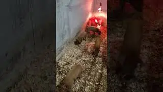 не надо стесняться