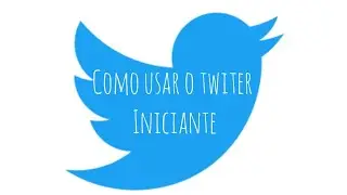 Passo a passo  como usar o Twitter iniciantes