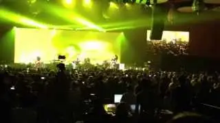 The Script