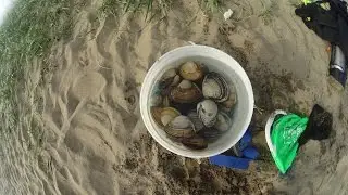 Рецепт Спизулы (песчанки) в восточном стиле