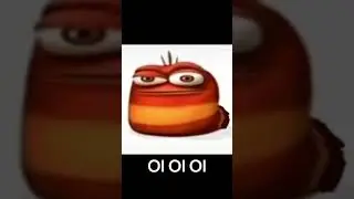 oi oi oi 🪱