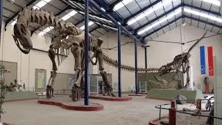 Museo Paleontologico Carmen Funes - Plaza Huincul