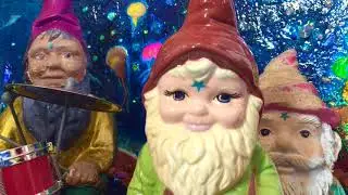 Toadstool Shadow- Have You Got It Yet? (Official Music Video)