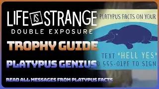 Life is Strange: Double Exposure - Platypus Genius (Trophy / Achievement Guide)