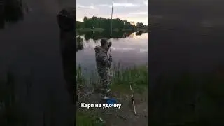 Поймал карпа на 5-ти метровую удочку!
