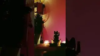 ЧТО ОН РЕШИЛ ПО ПОВОДУ ВАС?