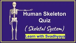 Human Skeleton Quiz | Skeletal System | General Science Quiz
