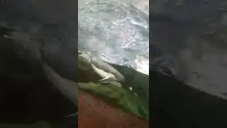 музыка для души.