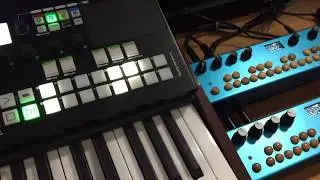 Organelle: advanced midi setup