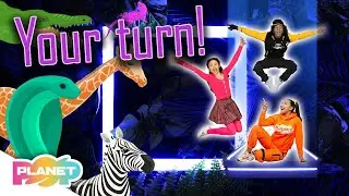 🐻‍❄️ Zoo Animals Vocabulary Rap 🐍 | Listen And Repeat | ESL Kids | Planet Pop