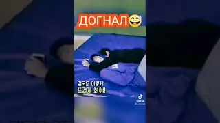 какие милые 😍💜❤️😘💜❤️