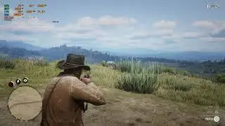 Red Dead Redemption 2 I RX 6600 XT I  I5 11400f I 1440p