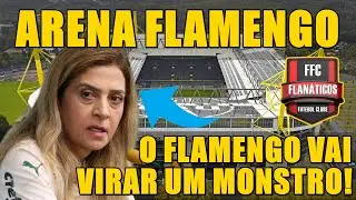 O FLAMENGO VAI VIRAR UM MONSTRO; ARENA FLAMENGO, O TERROR DOS ANTIS