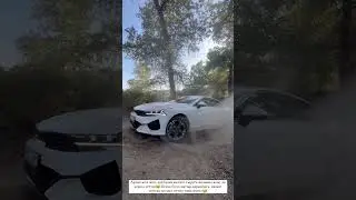 Зангар Нуртас заблудился