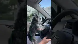 Еще один член нашей семьи 💕