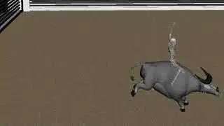 Bull Riding Animation W.I.P