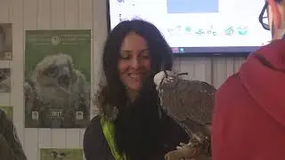 Проект „Живот за сокола“
