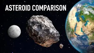 Asteroid Impacts: What We Need to Know to Survive the Next One