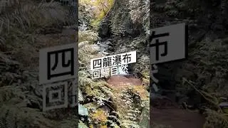 四龍瀑布 回歸自然