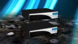 DomainMonkee.com - Semi Dedicated Servers