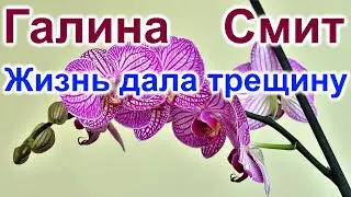 Галина Смит опять пакует вещи. Переезд