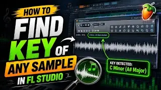 How To Find Key Of Any Sample In FL Studio  | Beginner Guide