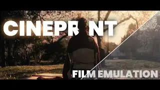 TEA - Filmprint emulation // Takemotion