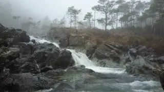 Rivers in the mist