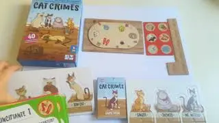 cat crimes