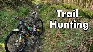 Trail Hunting in Comrie Woods