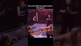 This is How MMO Boss Fights Be like In Video games 