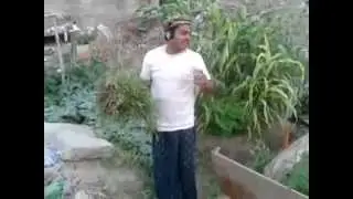 മക്കയിലെ സംസം കമ്പനി തോട്ടം