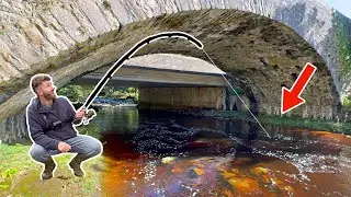I traded my Fishing Secrets to Fish this UNTOUCHED Private River... 😯