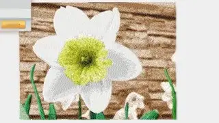 EMBIRD SFUMATO STITCH:  FAST MOTION DIGITIZING