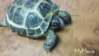 #Всемпривет#Нашиновости#