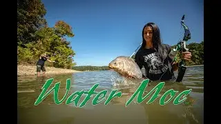 AMS Bowfishing Water Moc Recurve Overview