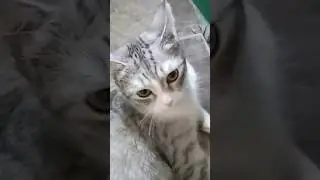 Мне так удобно тормозить